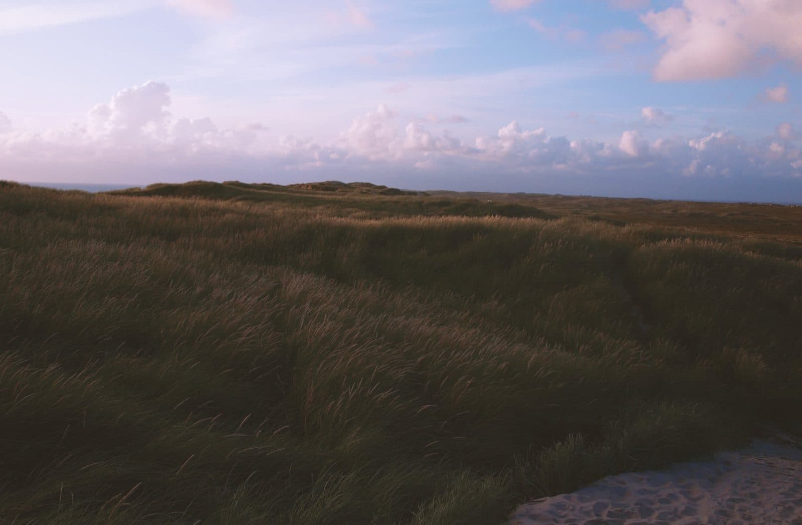 Open grassland under a wide, softly lit sky at dusk — a peaceful, empty landscape